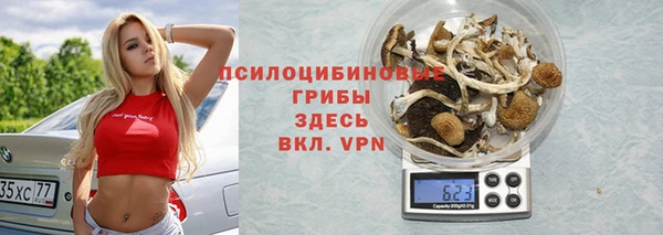 стафф Михайлов
