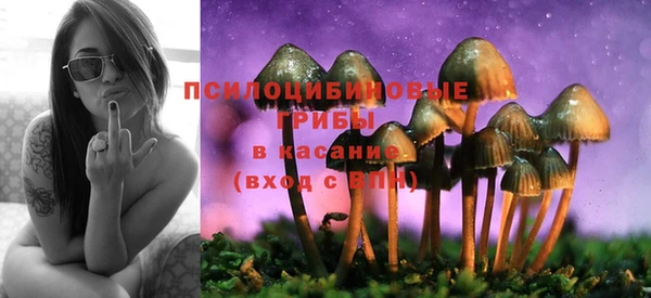 эйфоретик Навашино