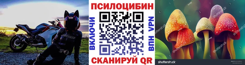 Галлюциногенные грибы мицелий  Инсар 